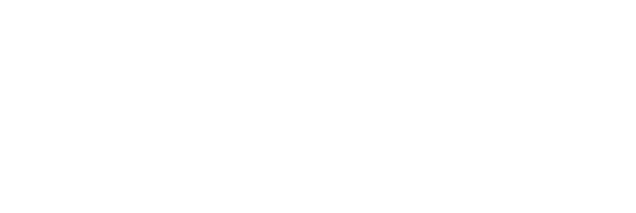 hansjet.site