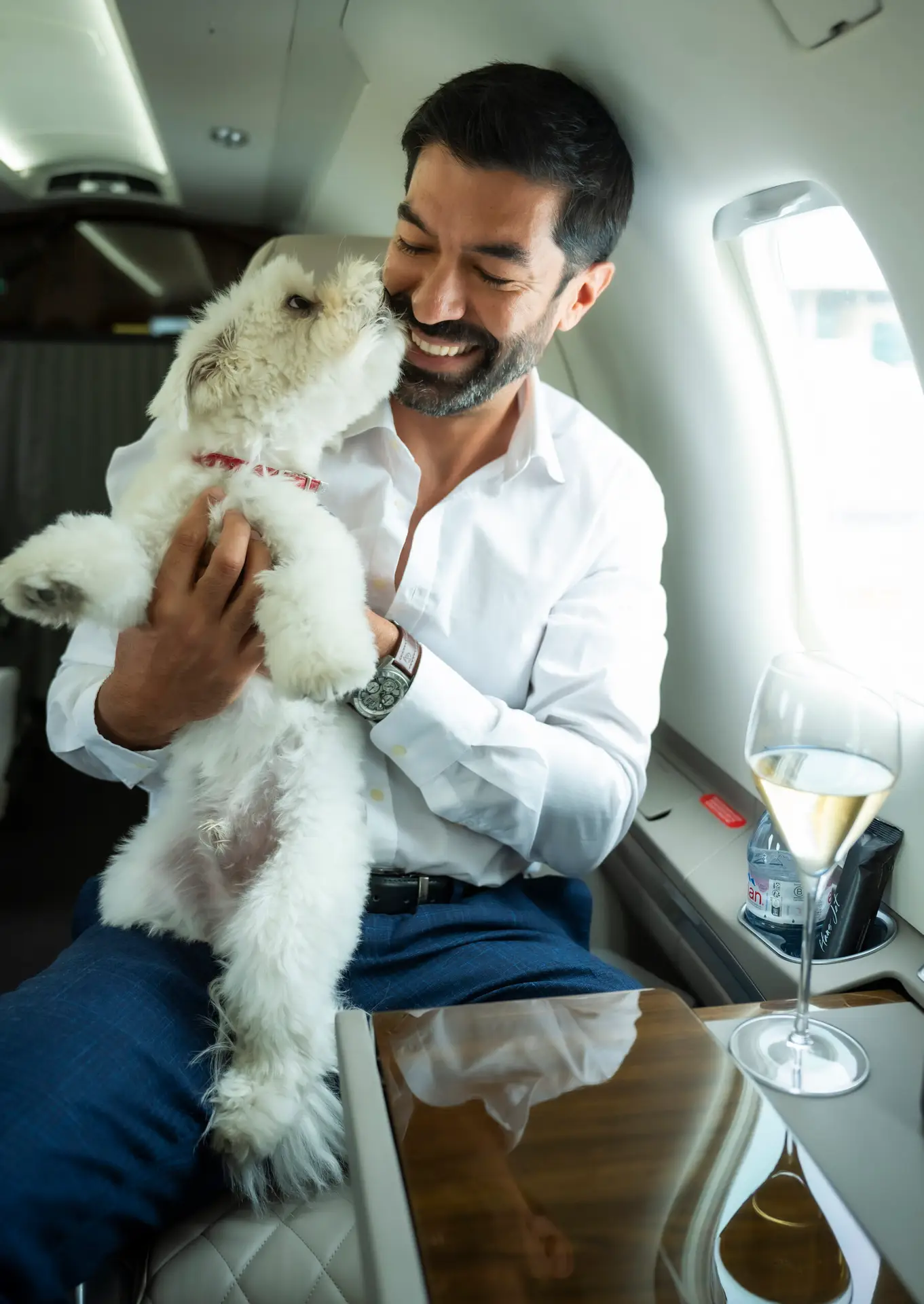 Pet aboard the aircraft
